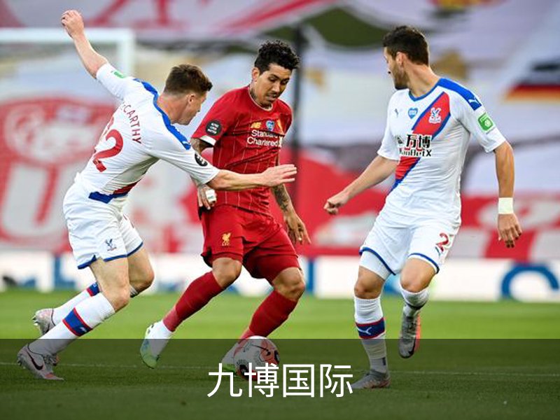 九博国际介绍